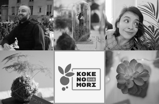 Rencontrez les artistes de Kokenomori