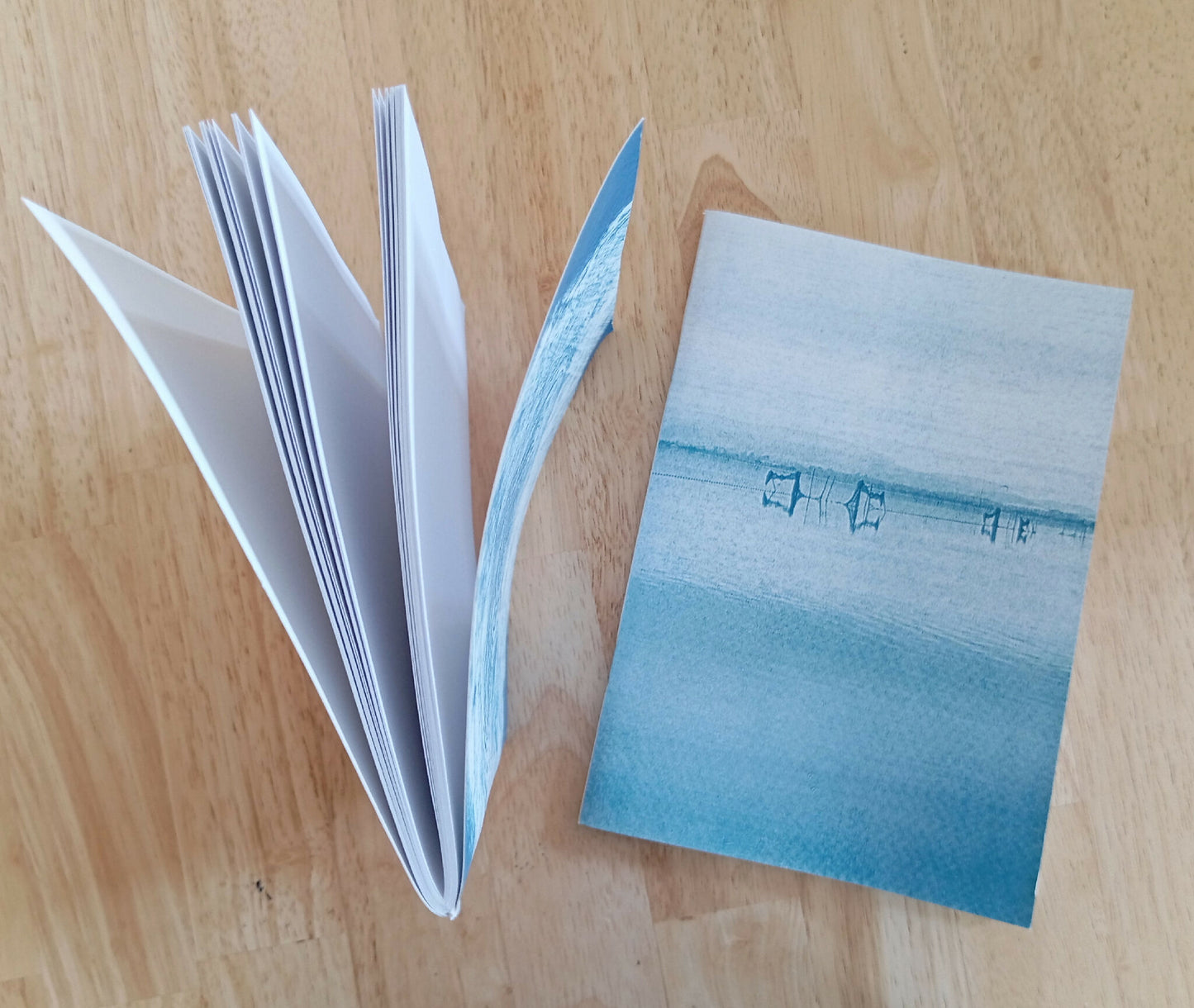 carnet cyanotype fanette bruel