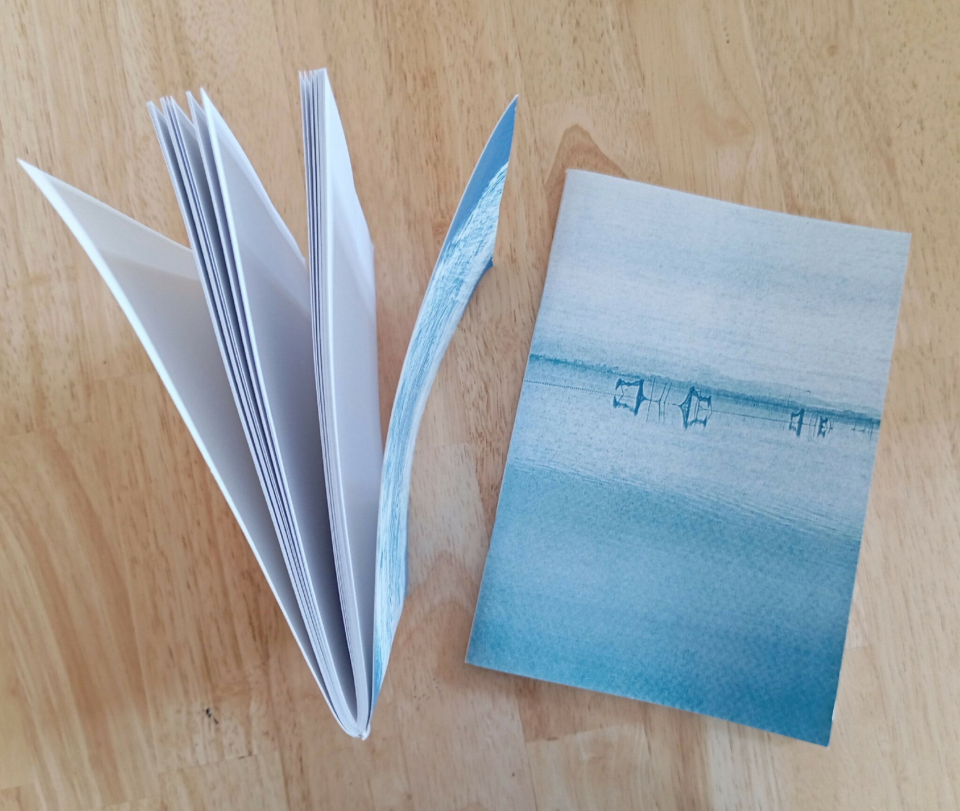 carnet cyanotype fanette bruel