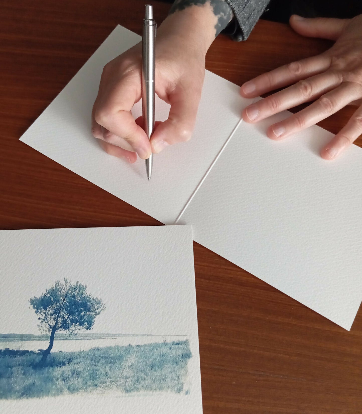 carte cyanotype fanette bruel