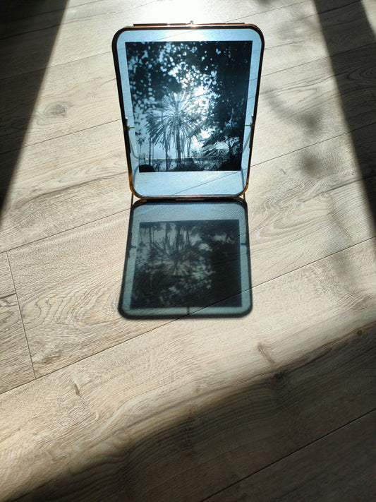 Marrakech végétal #2