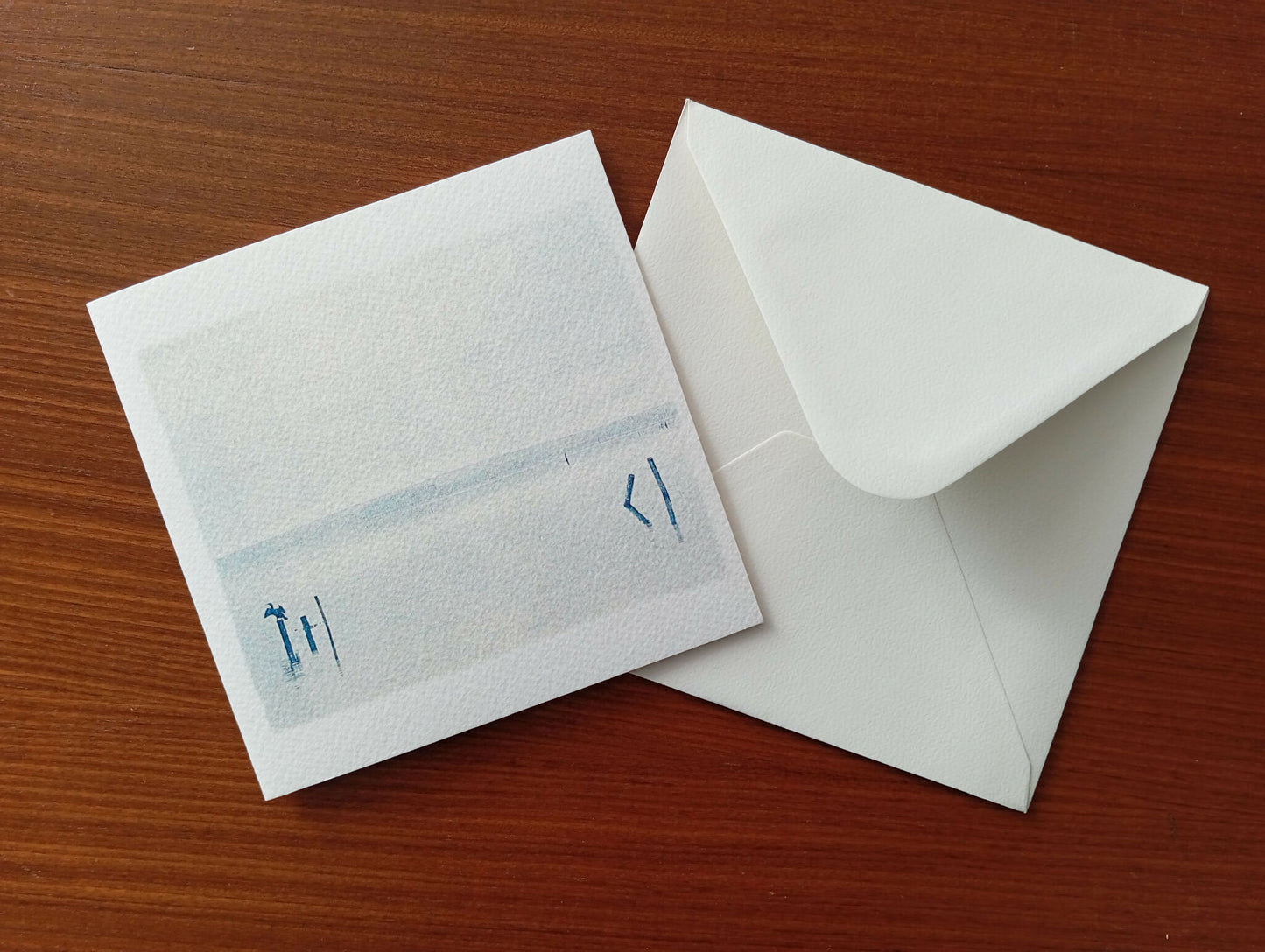 carte cyanotype fanette bruel