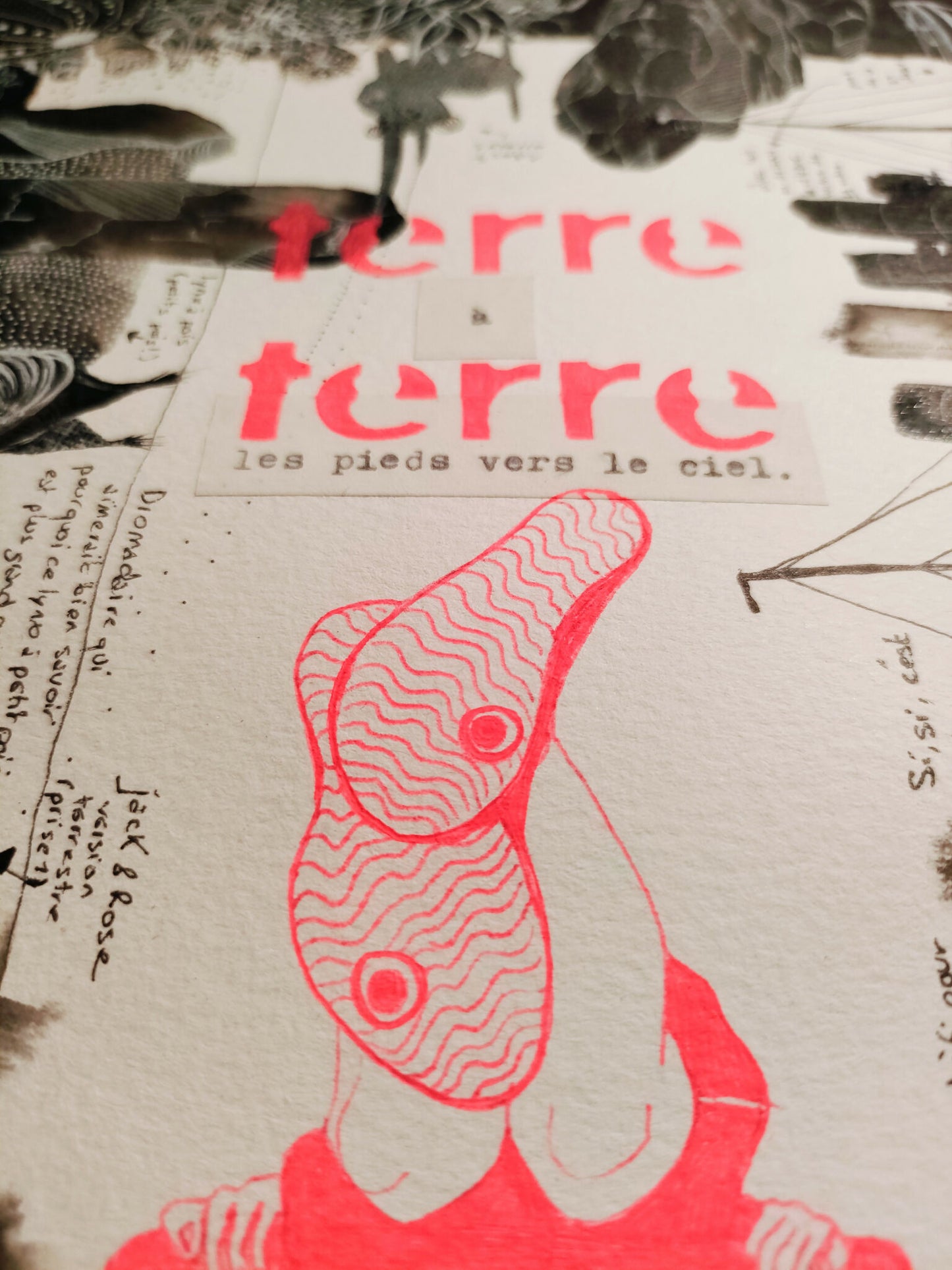 Terre à Terre