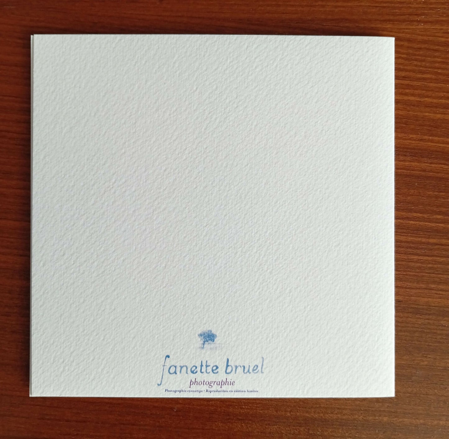 carte cyanotype fanette bruel
