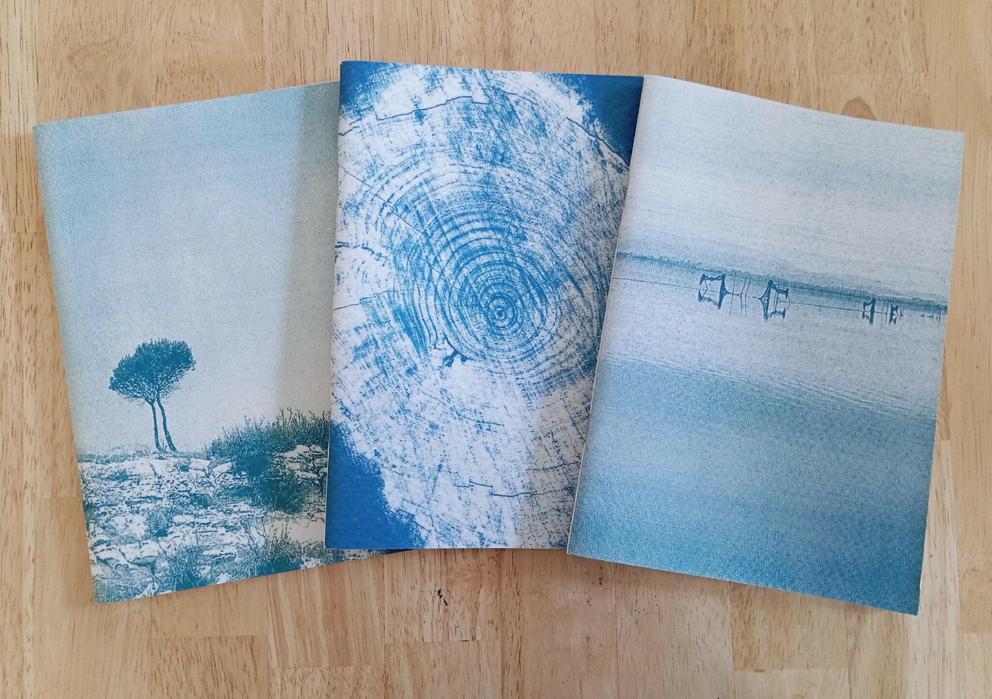 carnet cyanotype fanette bruel