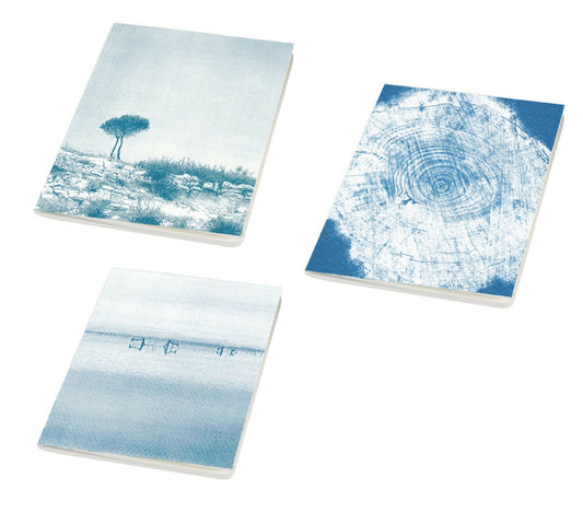 carnet cyanotype fanette bruel