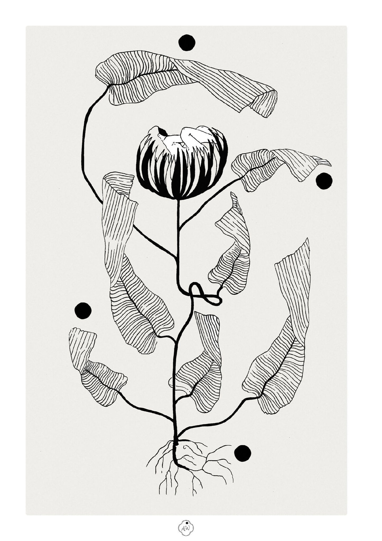 Illustration A3 botanique noir et blanc sur papier, fleurs et racines