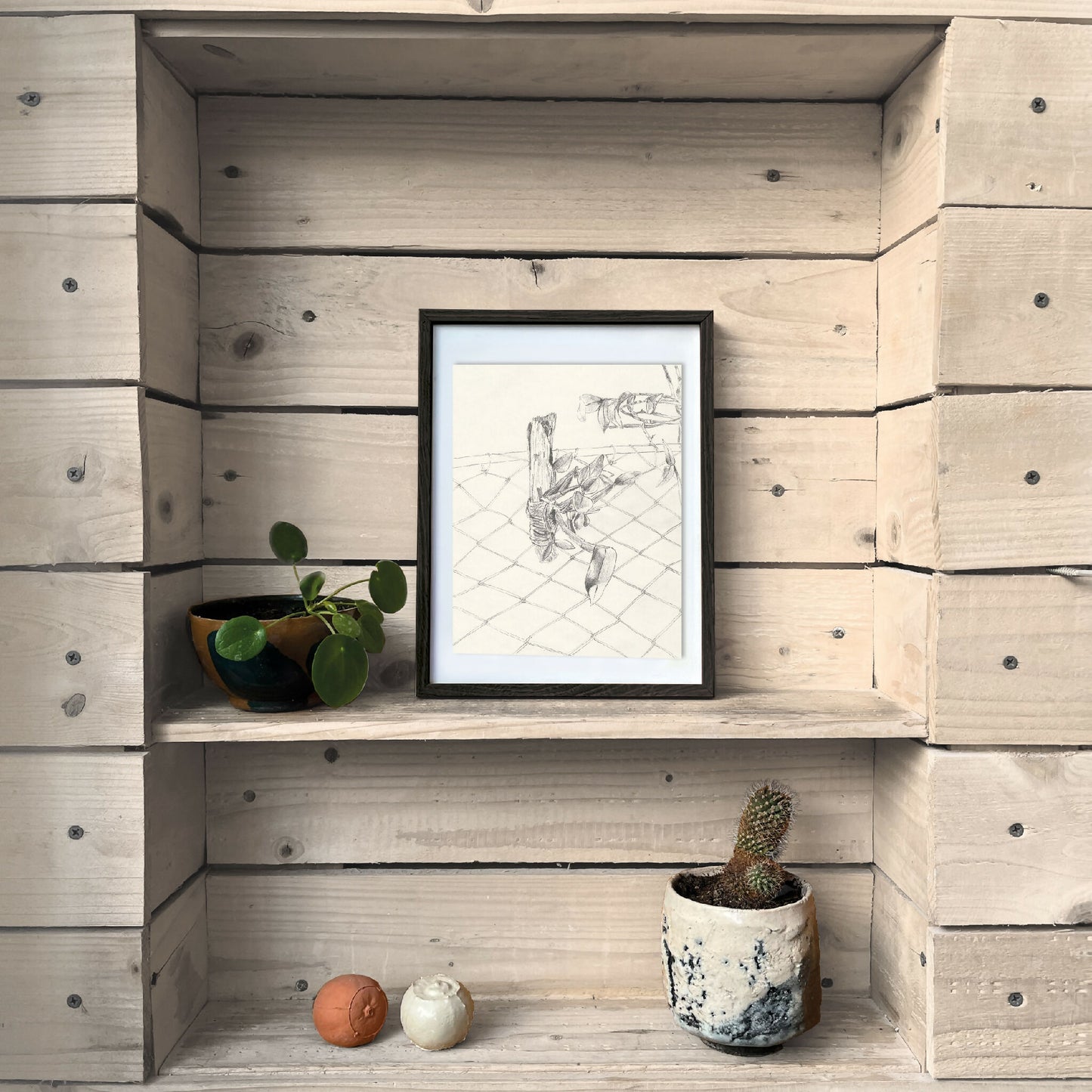 "La orchidea sobre la madera" - tirage d'art limité, numéroté et signé.