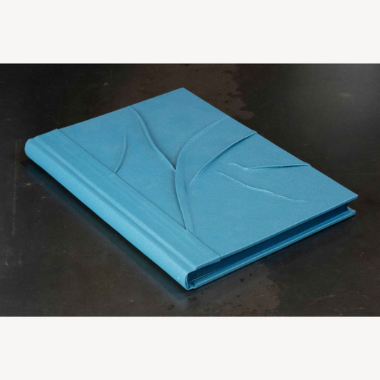 Monochrome bleu reliefs, carnet ou livre d'or