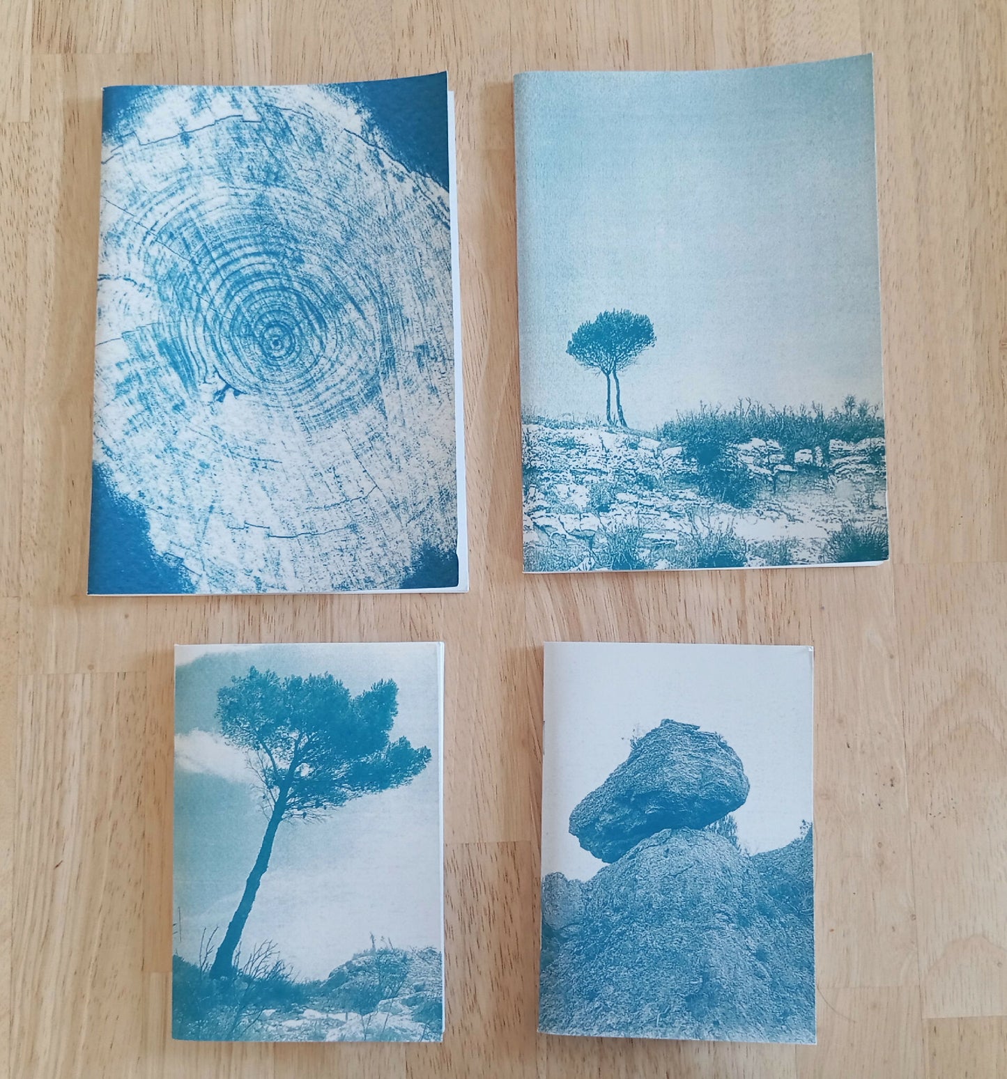 carnet cyanotype fanette bruel