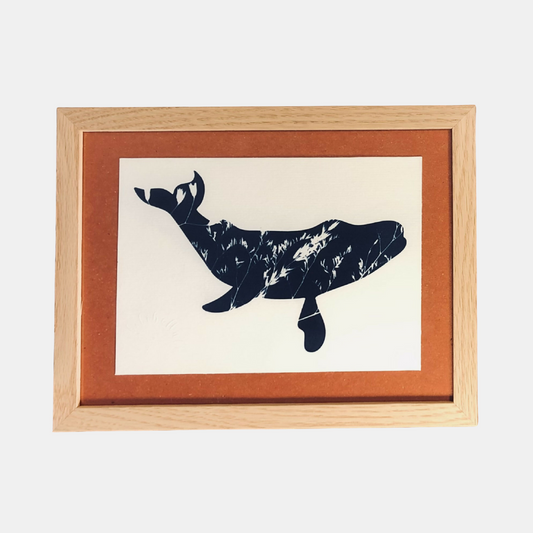 Illustration Colorado - Cyanotype floral baleine