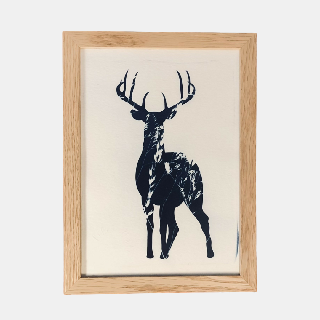 Illustration Danube - Cyanotype cerf et végétaux