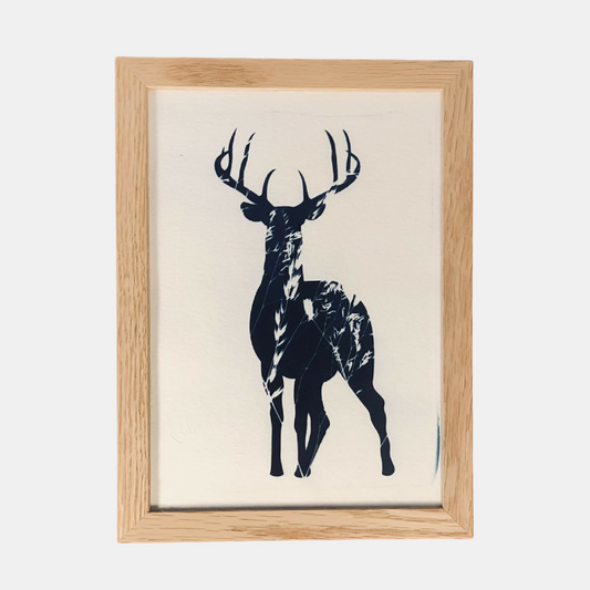 Illustration Danube - Cyanotype cerf et végétaux