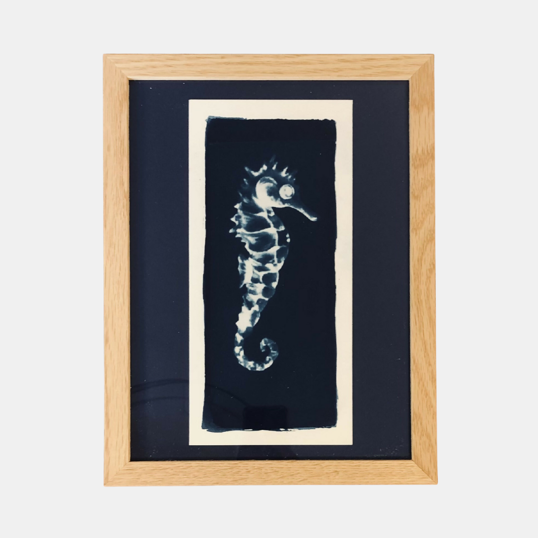 Illustration Mississippi - Cyanotype hippocampe
