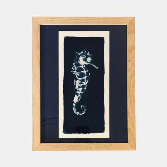 Illustration Mississippi - Cyanotype hippocampe