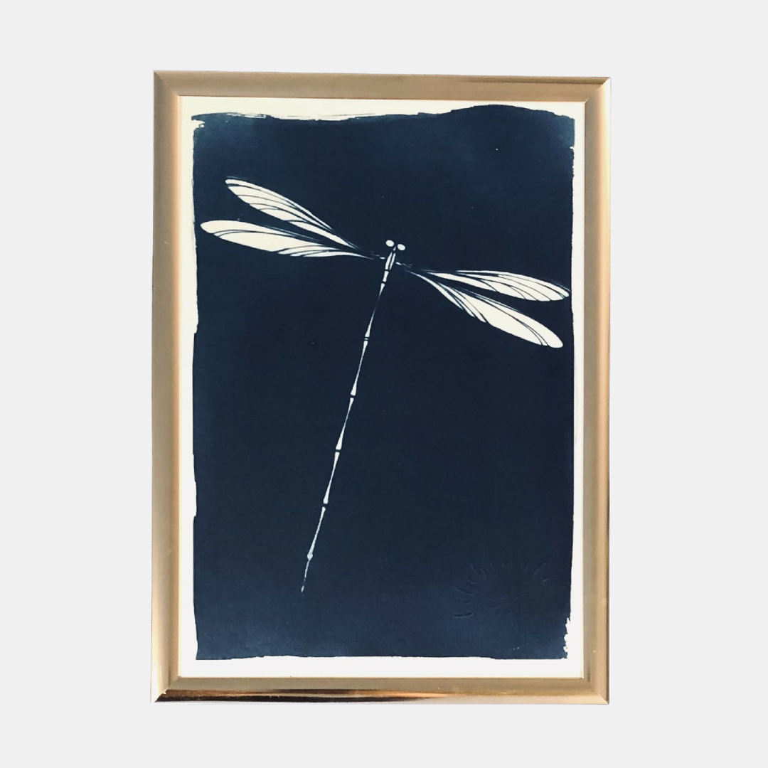 Illustration Missouri - Cyanotype libellule