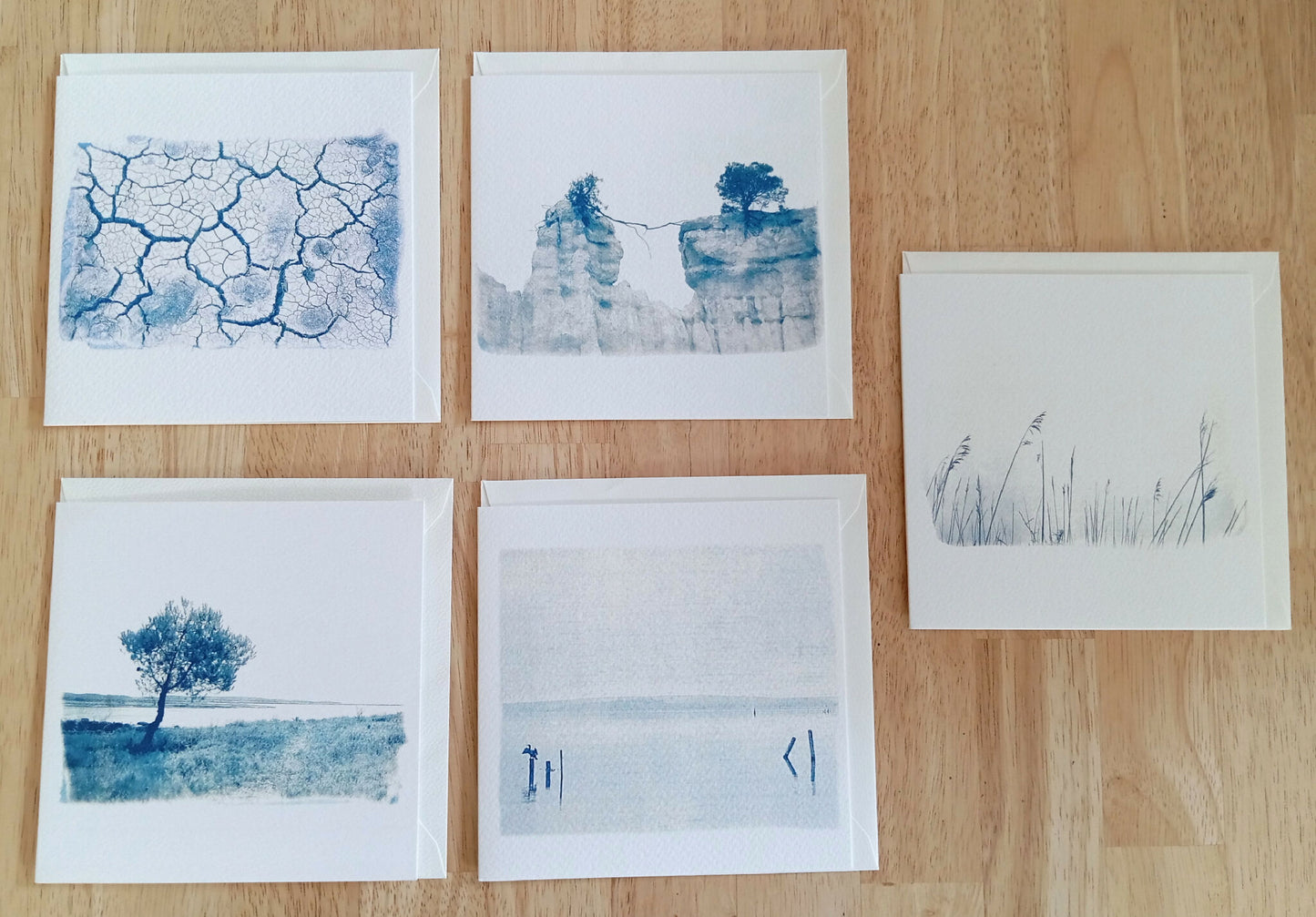carte cyanotype