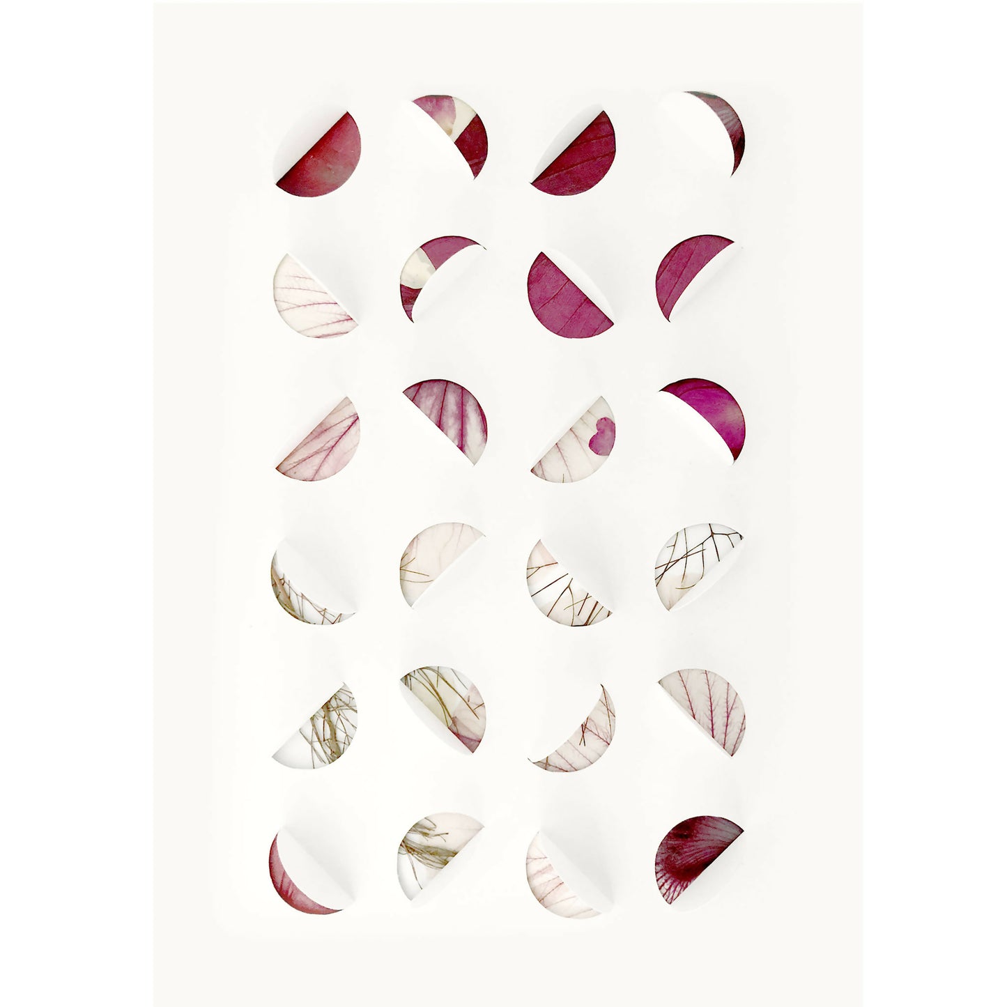 herbier-plantes-sechees-papier-artiste-francaise