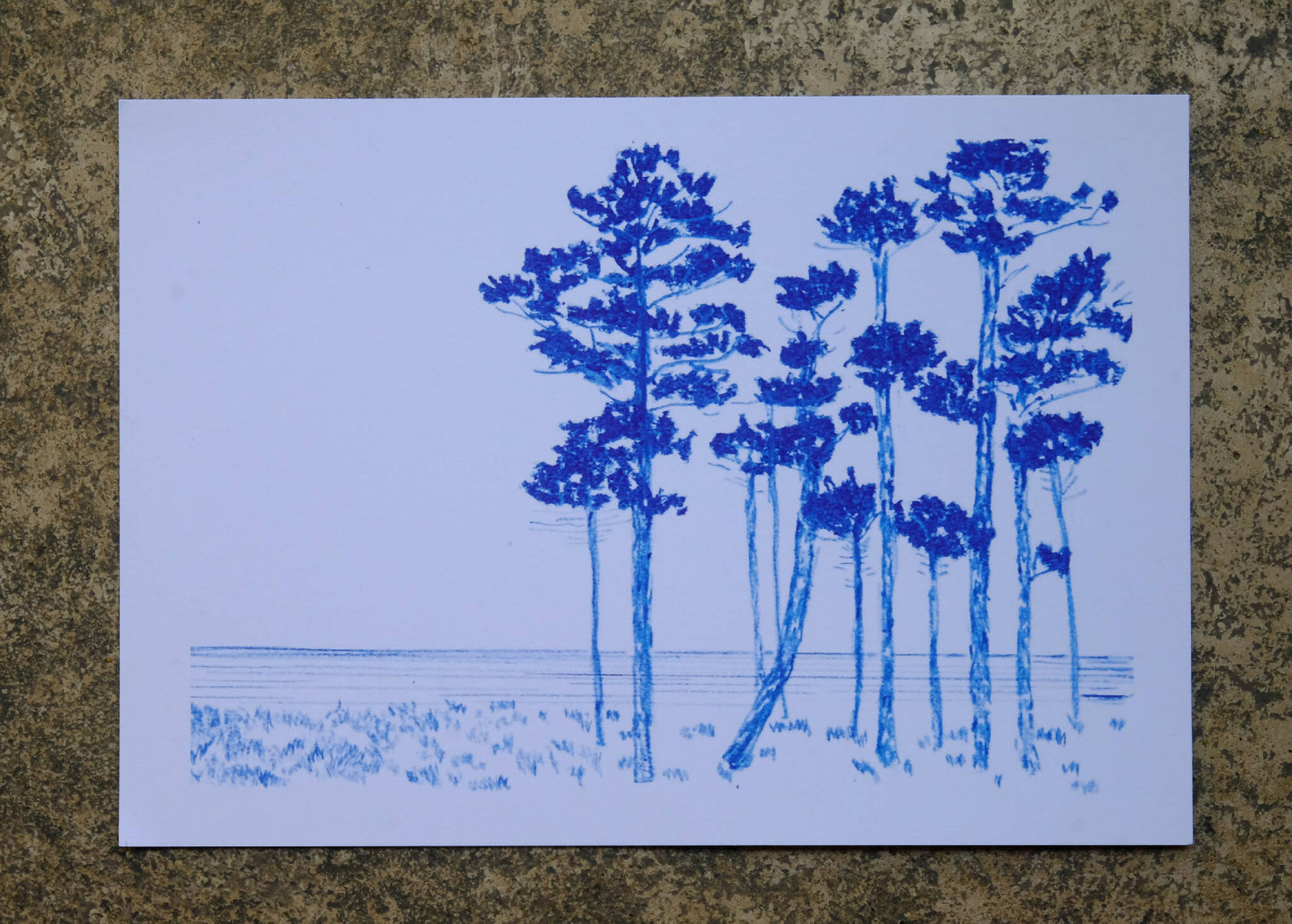Illustration A5