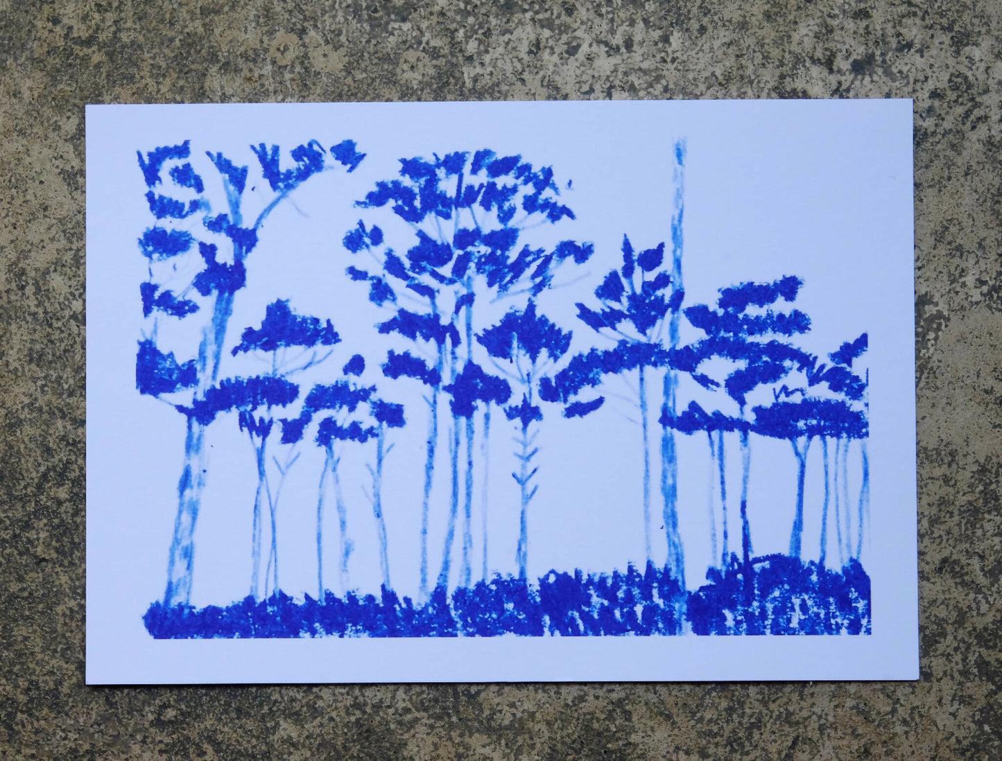 Illustration A5