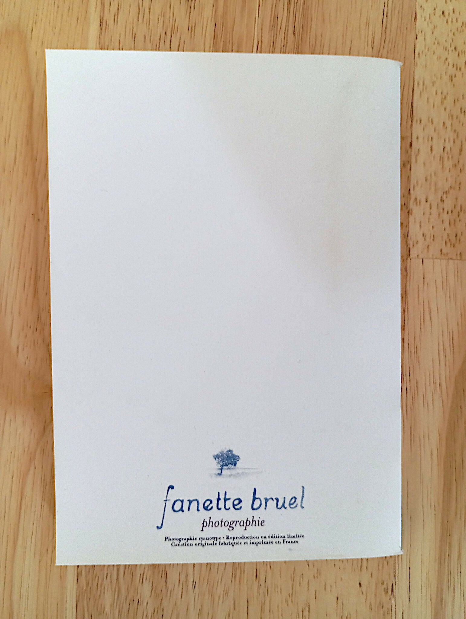 carnet cyanotype fanette bruel
