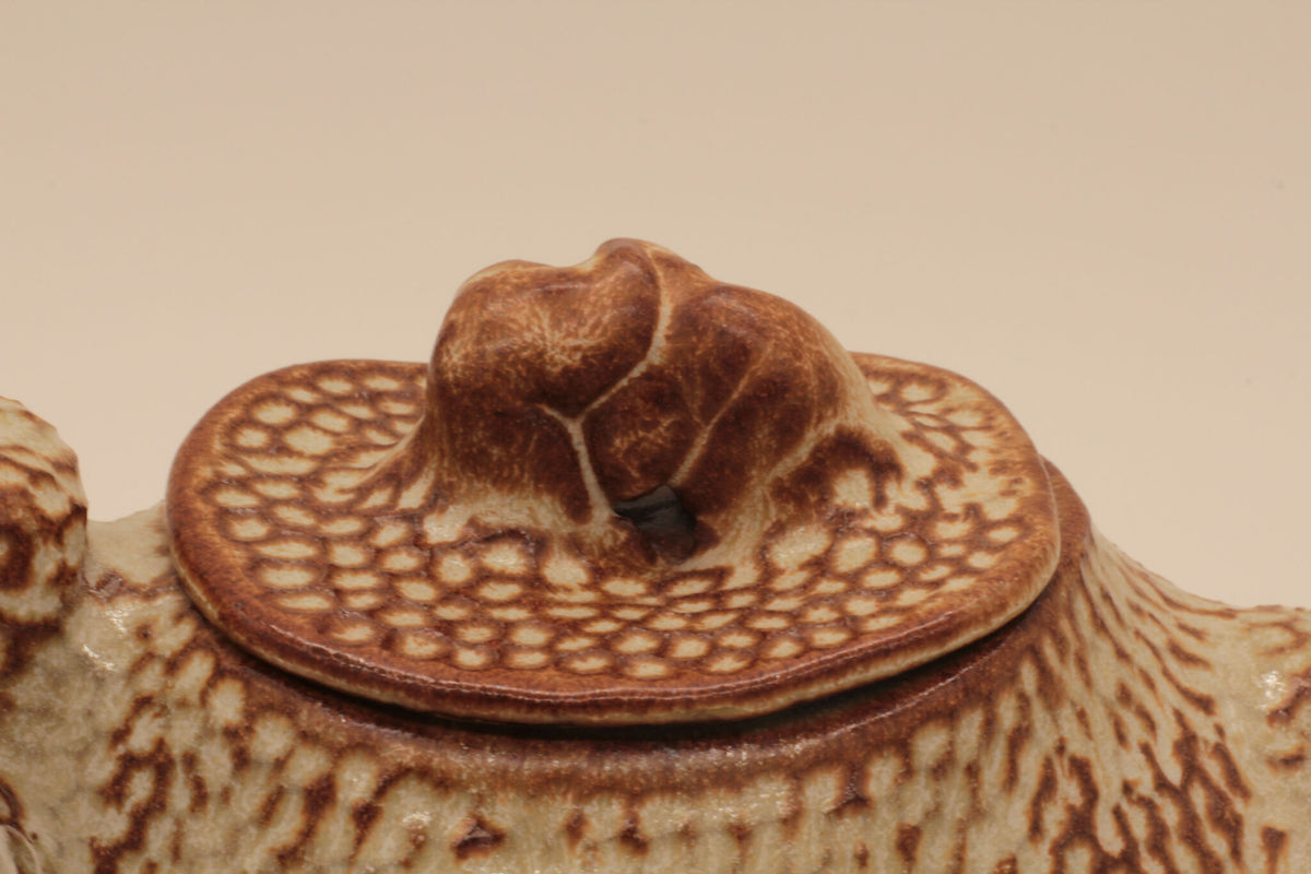 Théière beige, gros plan du couvercle rond et du bouton sculpté