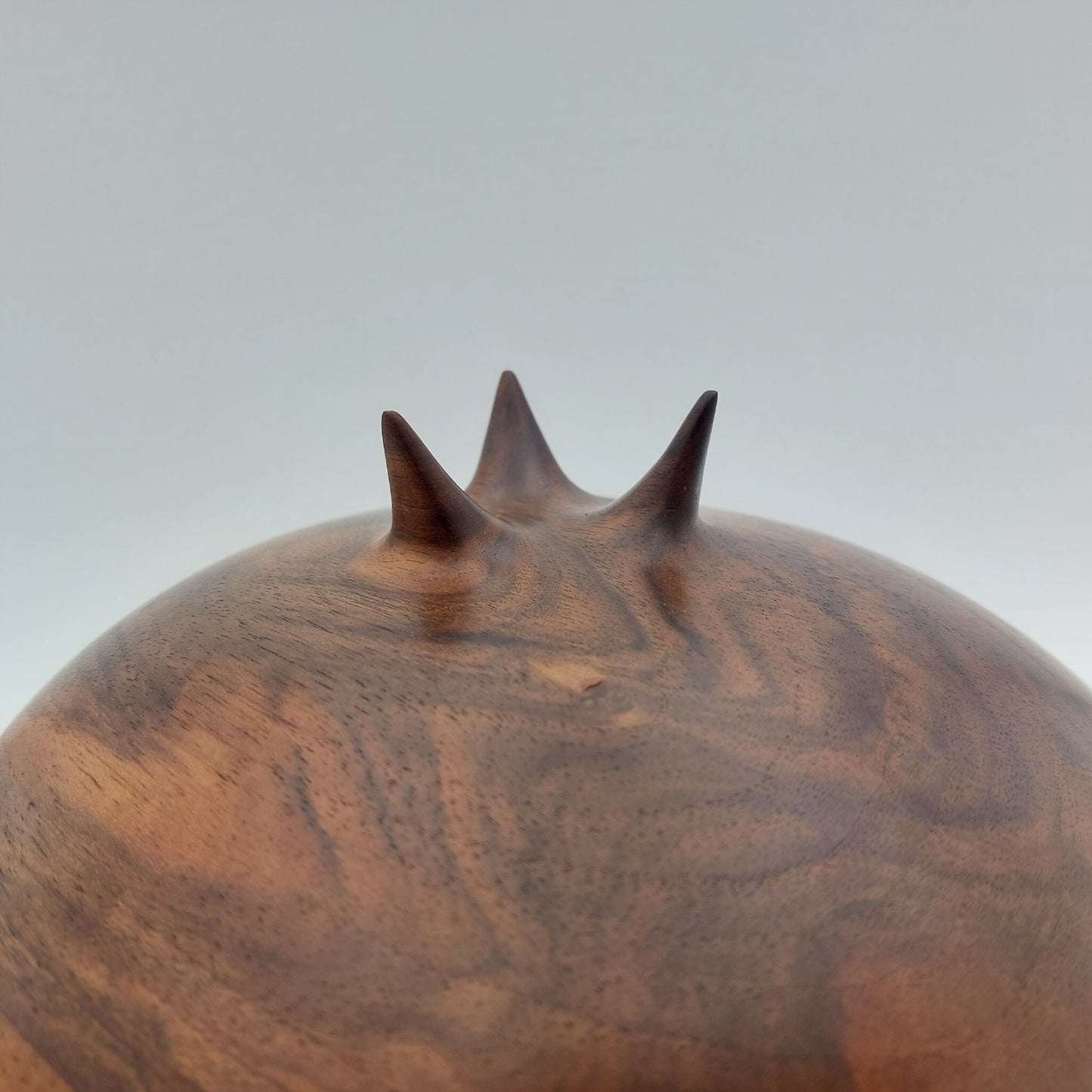 20231205_123207