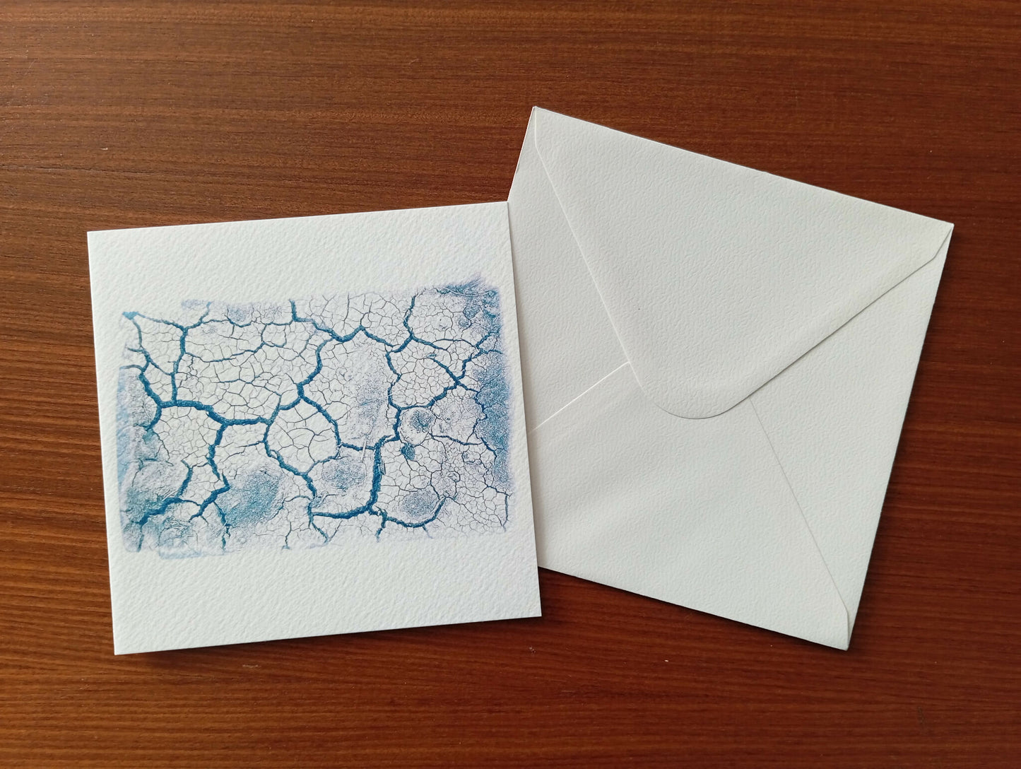 carte cyanotype fanette bruel