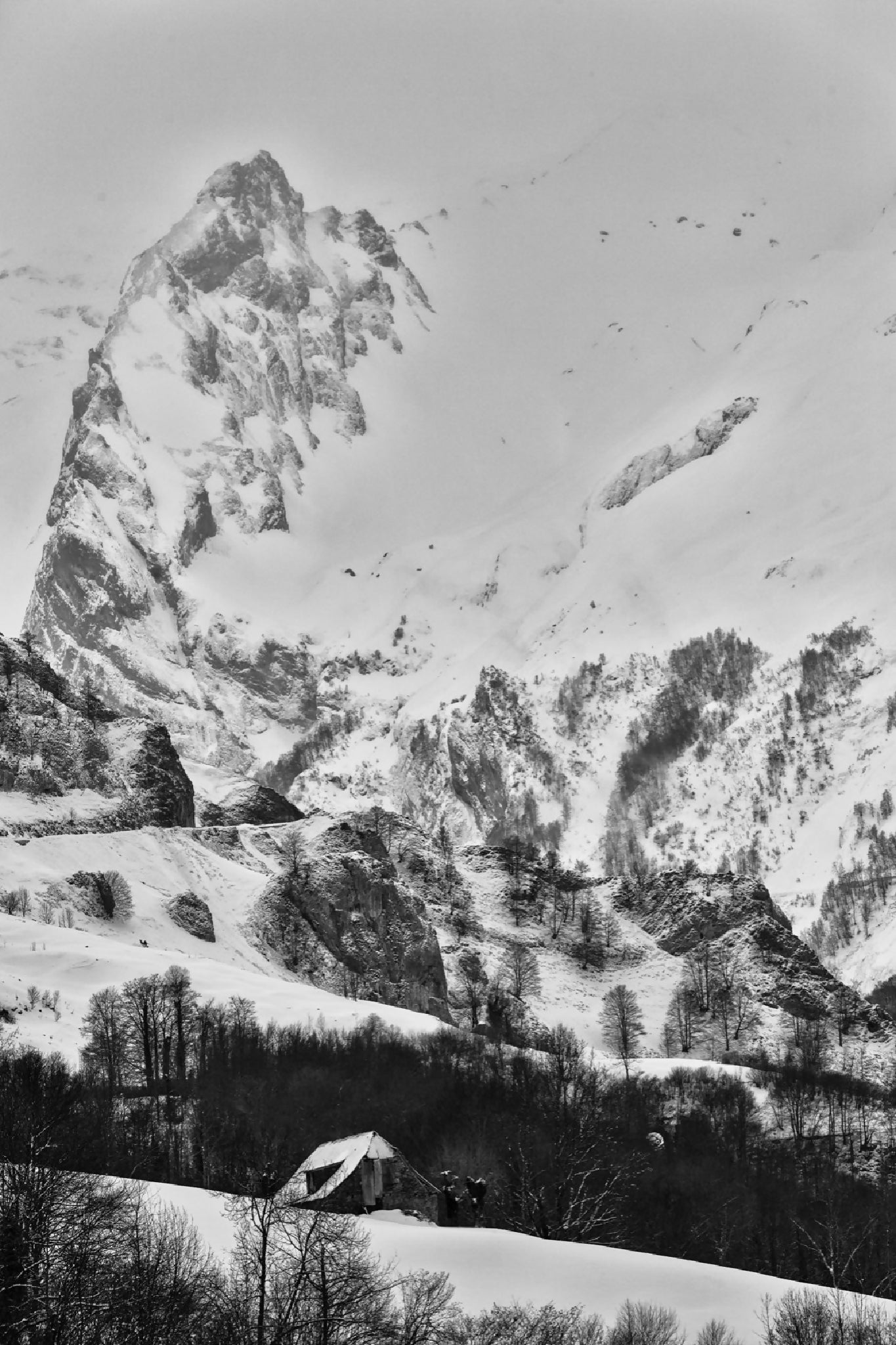 photographie-artistique-nature-morte-1_5
