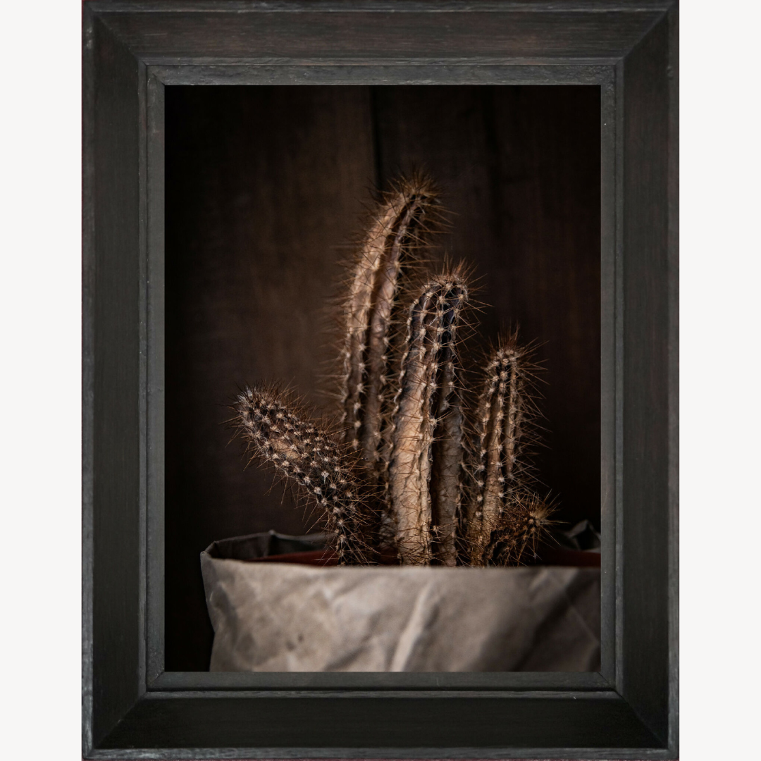 Photographie d'art, tirage d'art de nature morte
