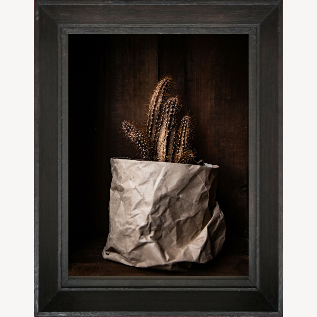 Photographie d'art, tirage d'art de nature morte