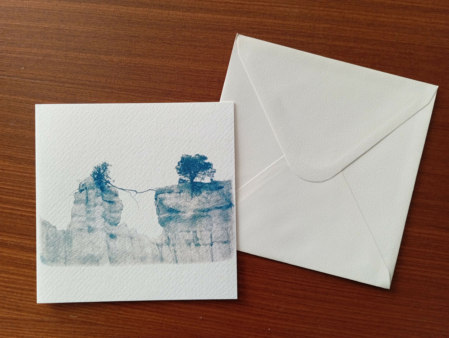 carte cyanotype fanette bruel