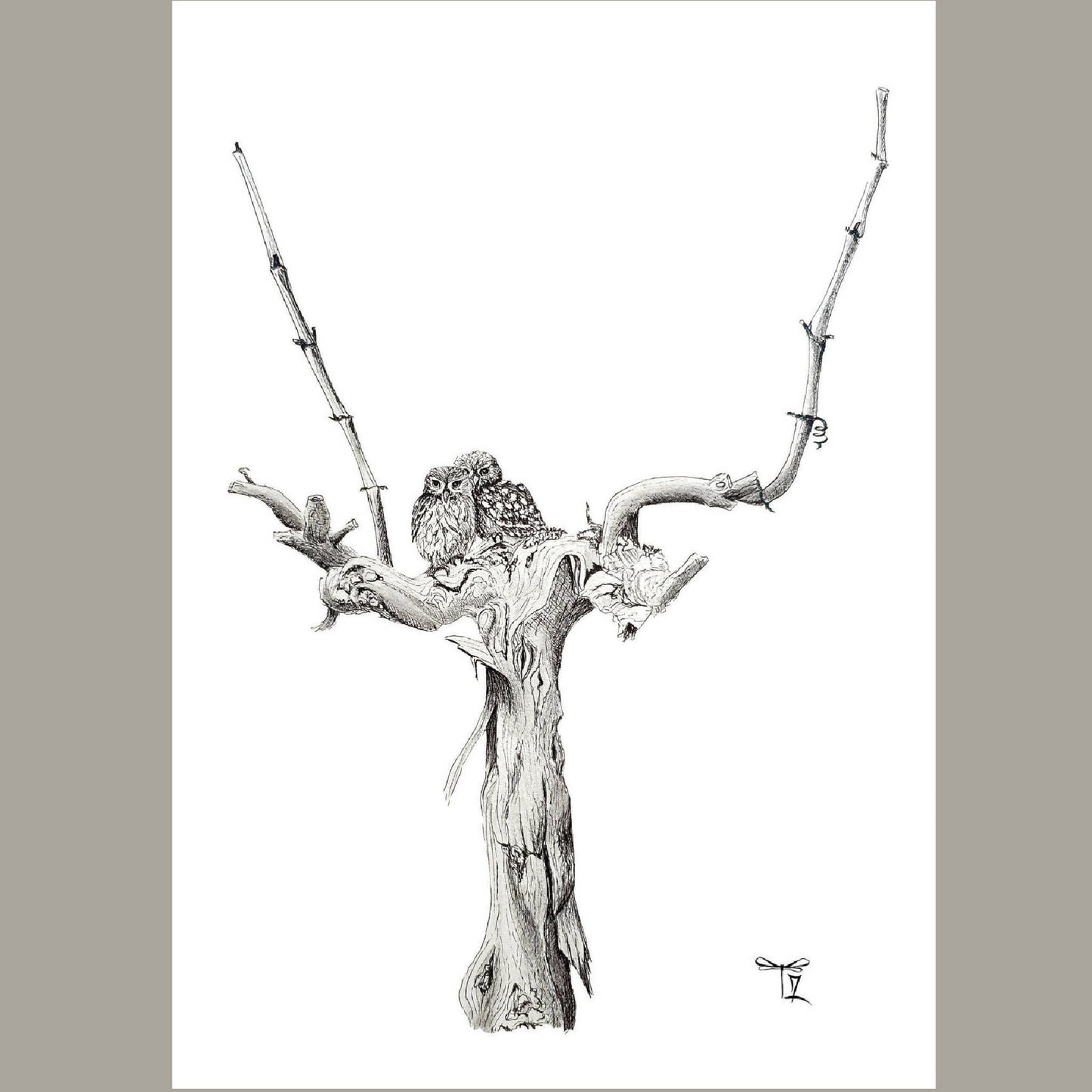 dessin chouettes