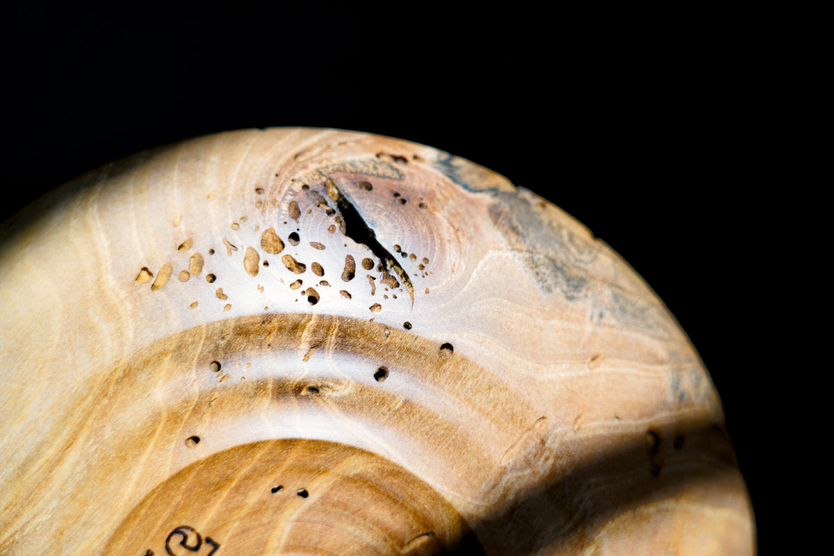 Sculpture - Nut-Burst