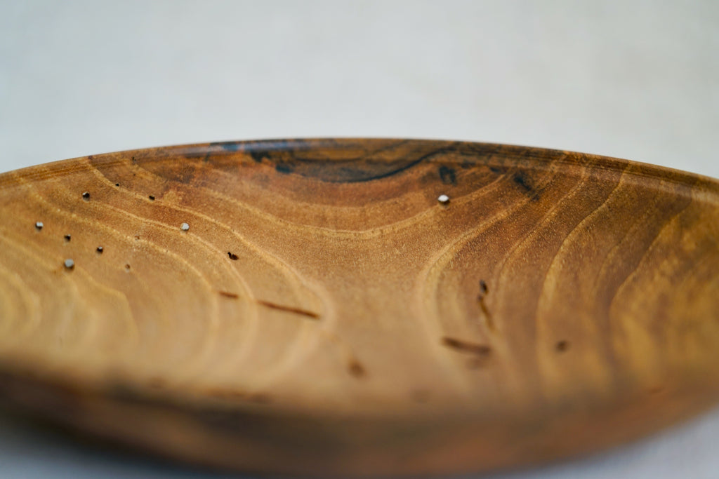 Sculpture - Nut-Burst