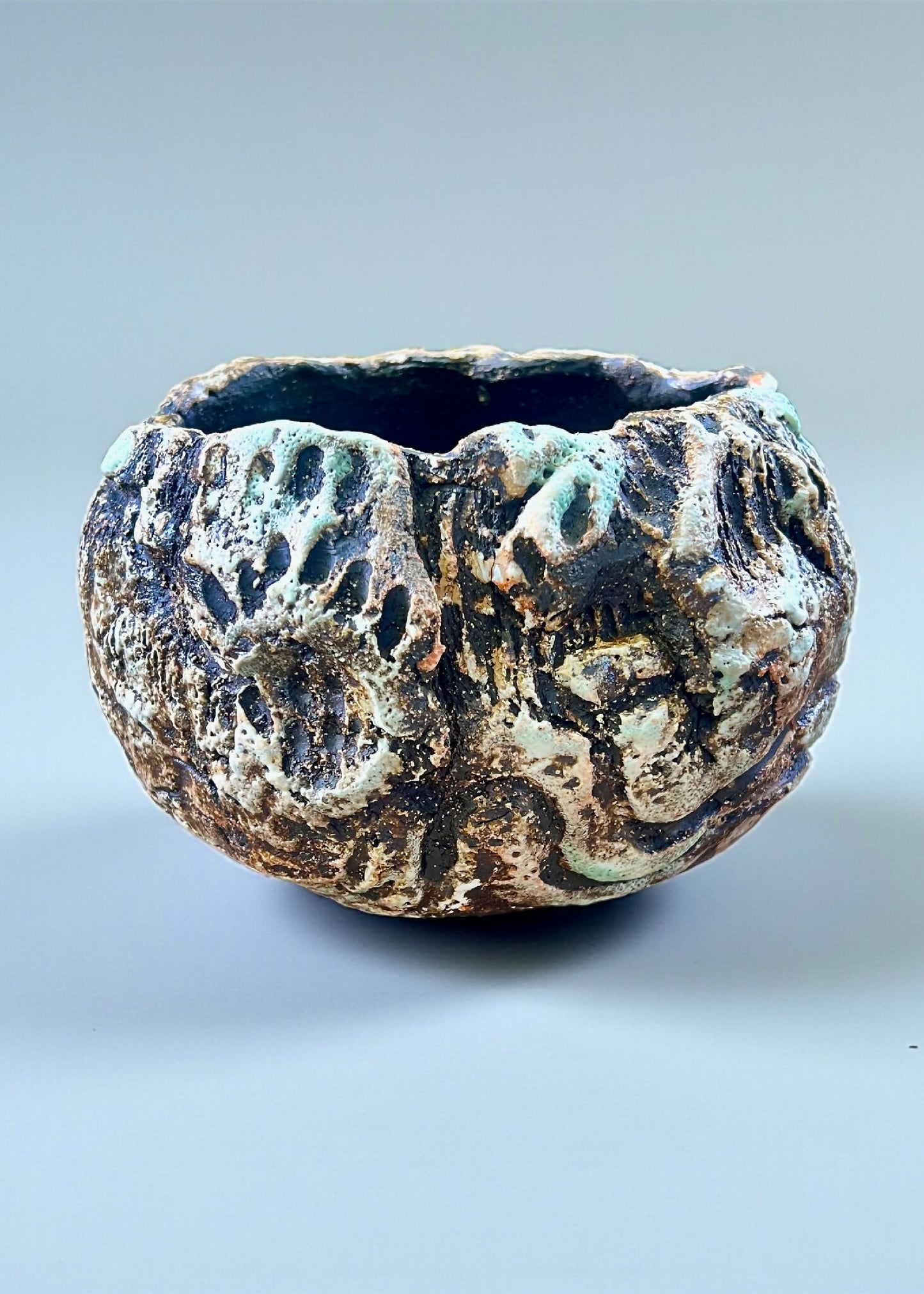 Pot caudex en grès noir COLIMA