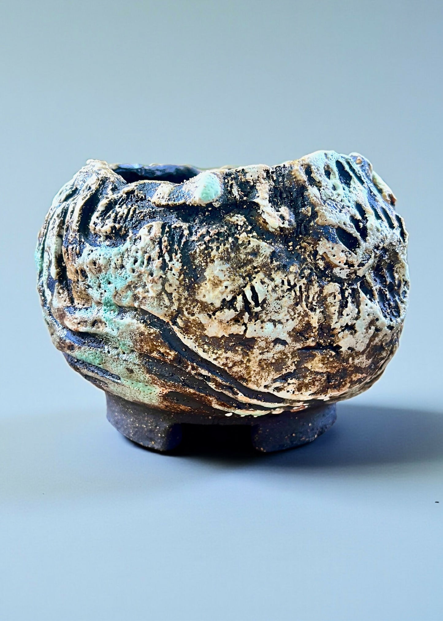 Pot caudex en grès noir COLIMA