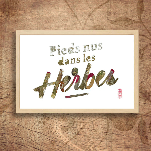 Tableau A4 encadré, typographie « Pieds nus dans les Herbes » en plantes séchées