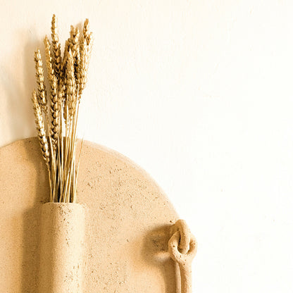 PXL_20241111_114520768 (2)_Original