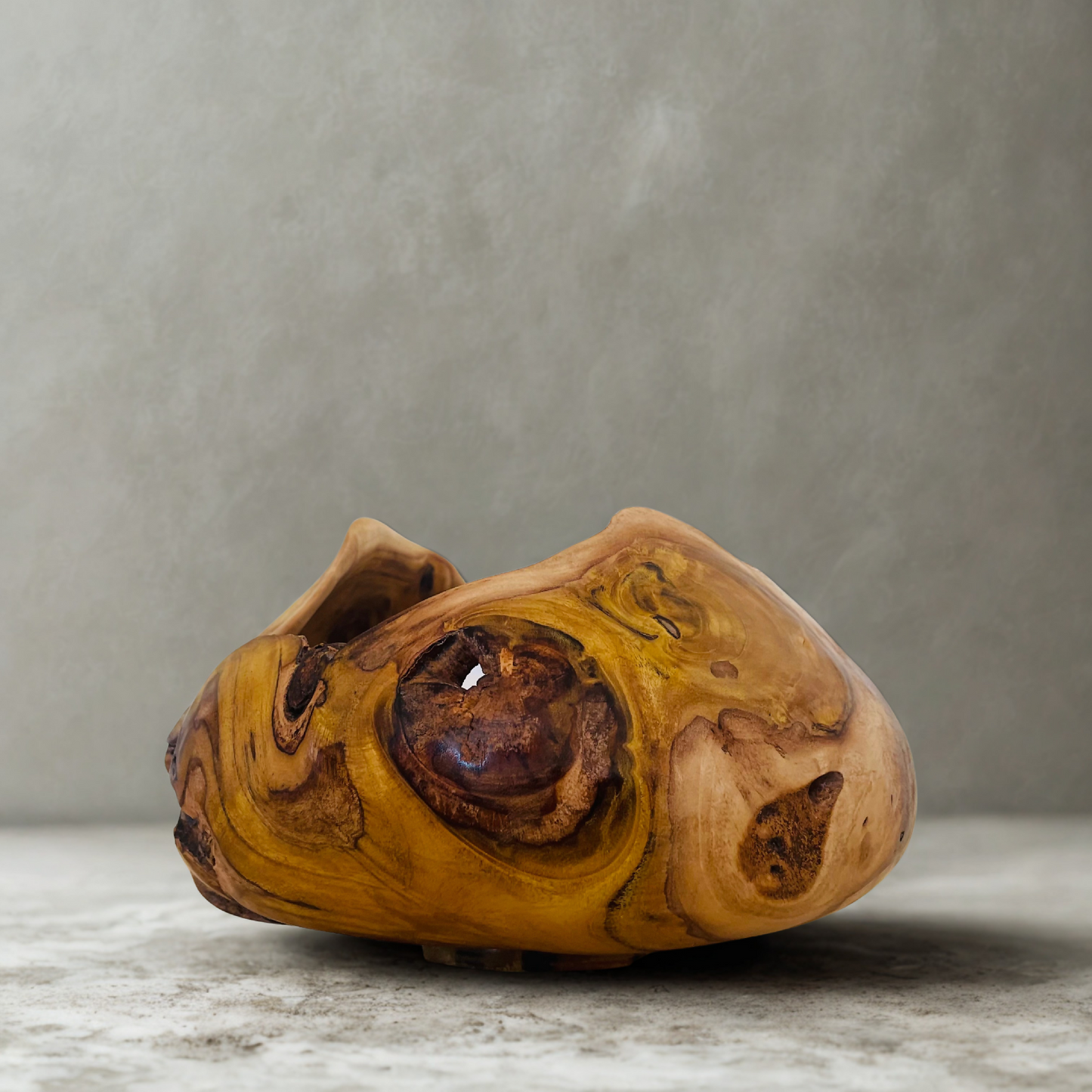 TENSION — Carapace