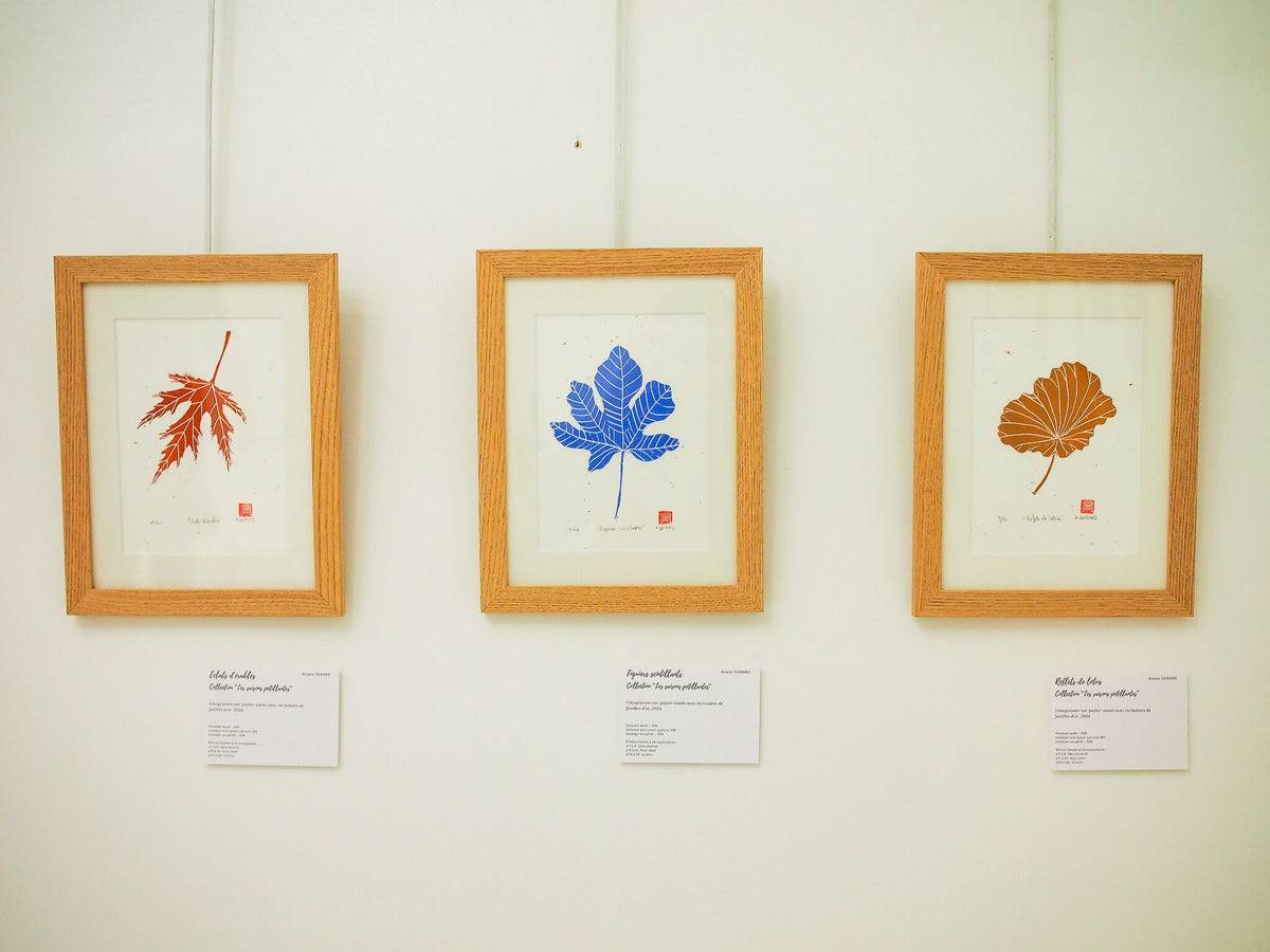 Lot de 3 gravures sur papier washi encadrées, feuilles d’érable orange, bleue et brune