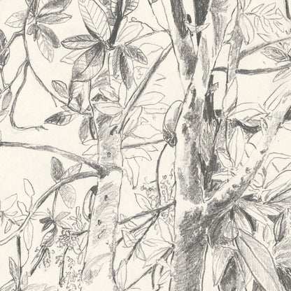 "Cocoa, Cuba" - tirage d'art limité, numéroté et signé.