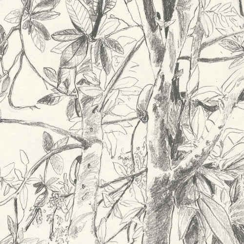 Tirage d'art numéroté et signé, détail botanique en noir et blanc.