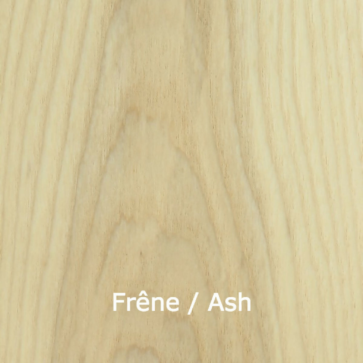 Bois de frêne : veinage clair et texture fine