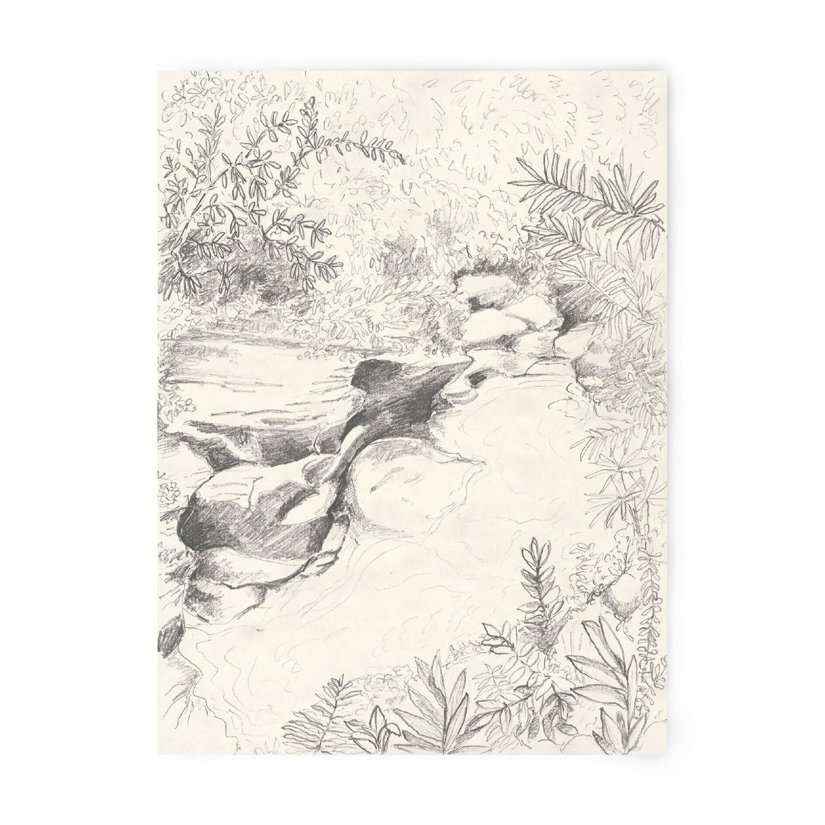 Tirage d’art numéroté et signé, gravure monochrome de végétation et plan d’eau