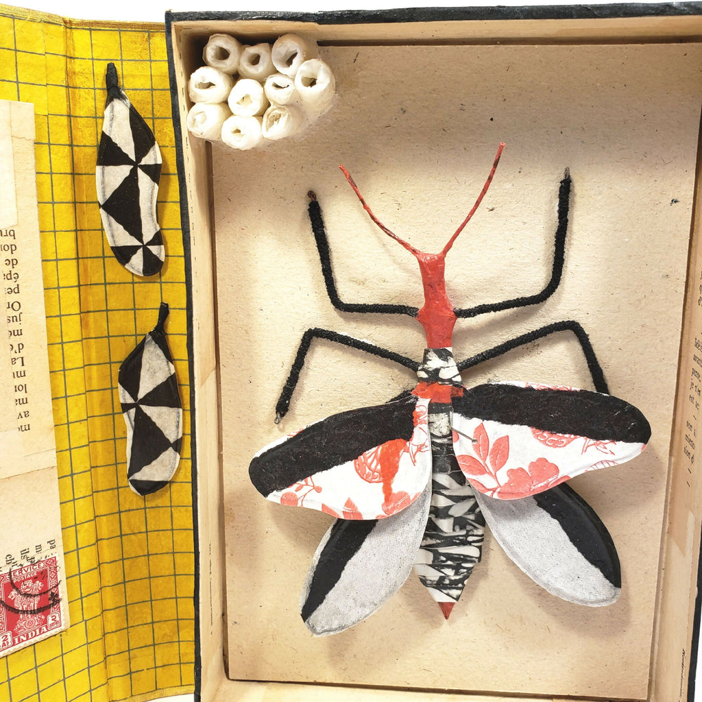 Insecte en relief sur couverture intérieure beige : ailes noires et motifs rouges.