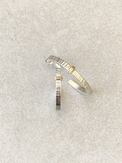 Boucles d'oreilles Courbe Précieuse