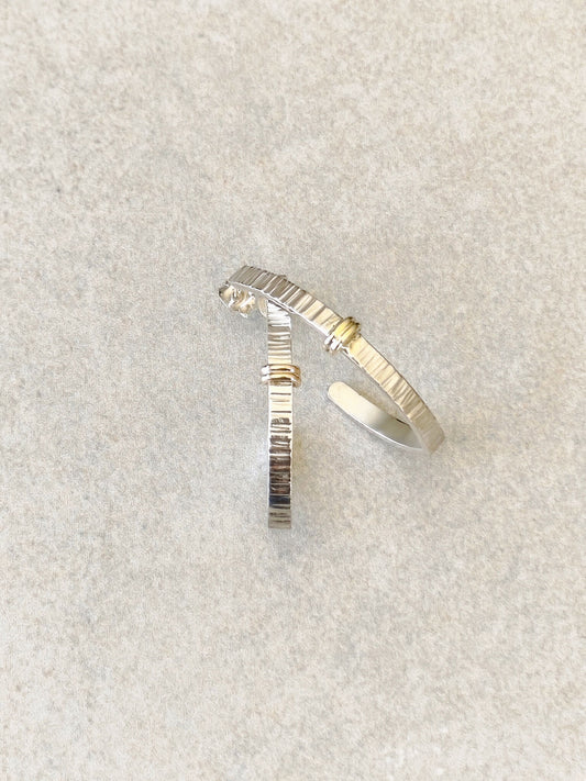 Boucles d'oreilles Courbe Précieuse