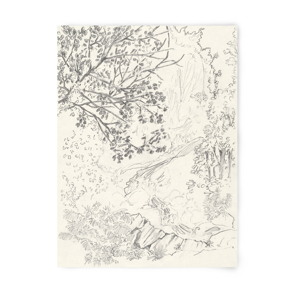 Tirage d’art numéroté en noir et blanc, feuille imprimée avec dessin de végétation.