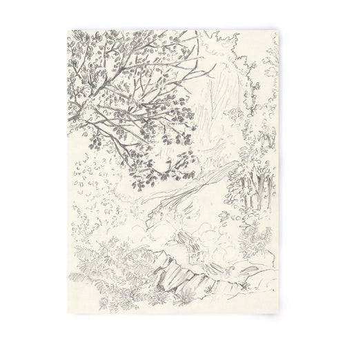 Tirage d’art numéroté en noir et blanc, feuille imprimée avec dessin de végétation.